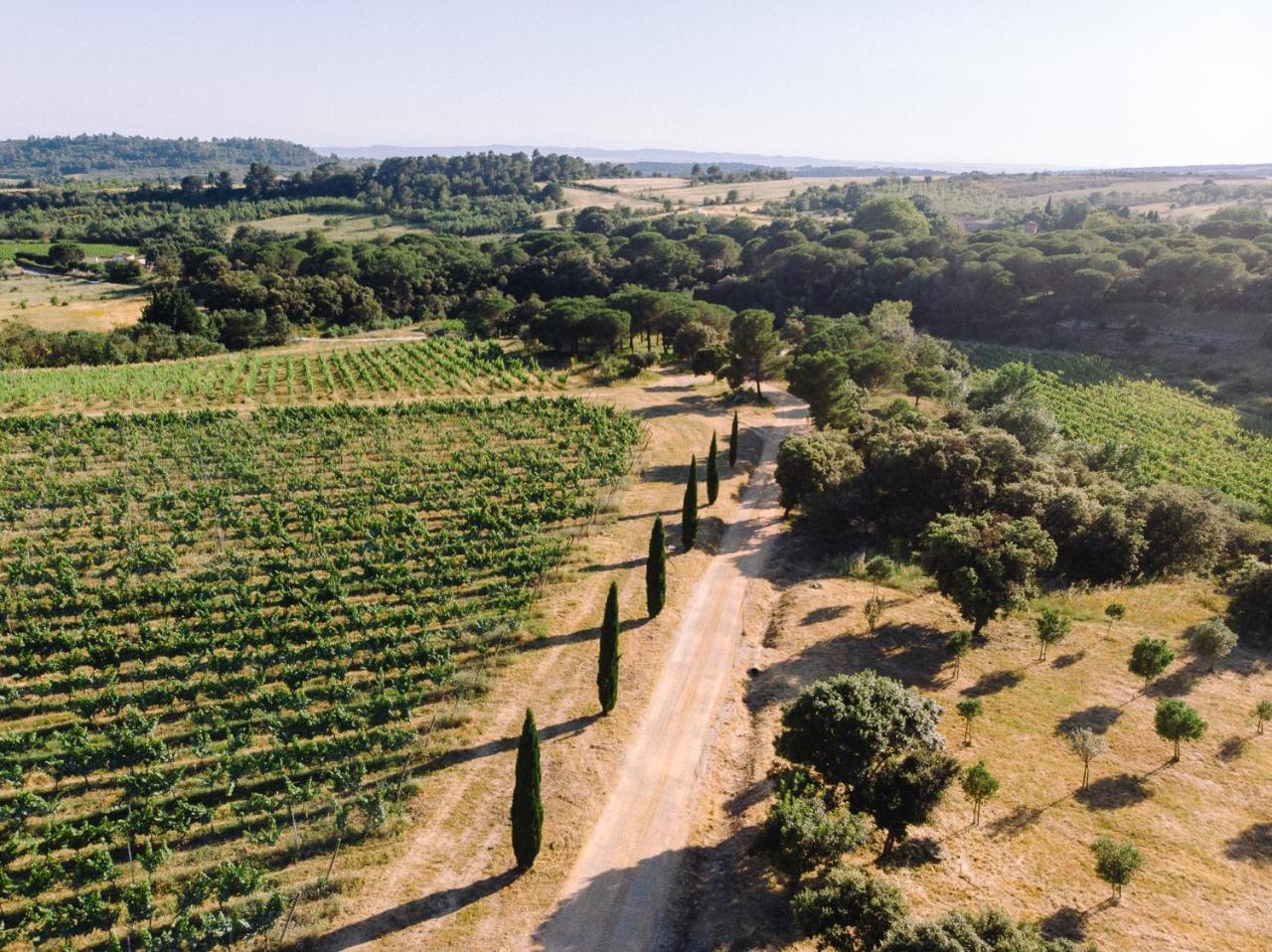 Domaine De Cazaban Leilighet Villegailhenc Eksteriør bilde